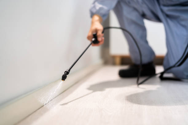 Licensed Wasp Removal service in Fairplains, NC - Show Me Pest Control