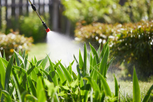 24/7 Emergency Wasp Removal experts in Fairplains, NC