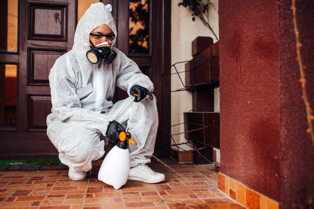 Reliable Wasp Removal contractor in Fairplains, NC by Show Me Pest Control