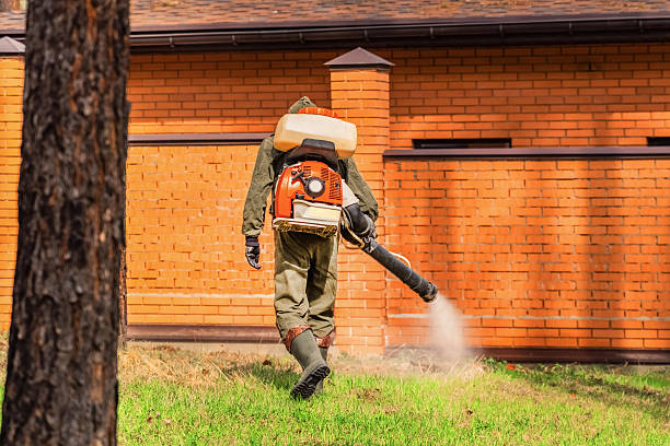 Top rated local Wasp Removal specialists in Fairplains, NC
